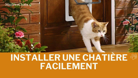 Installer une chatière facilement - Maitreschats