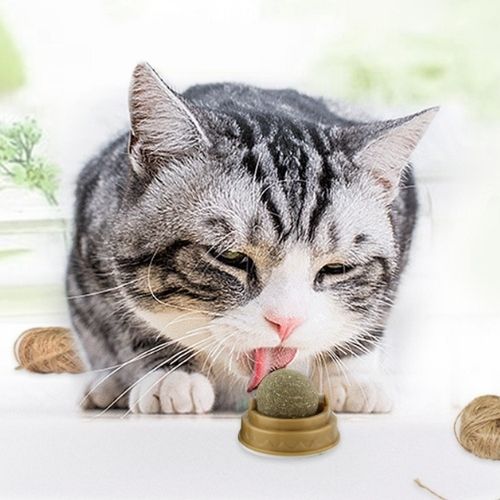 Boule d'herbe à chat - HerBall™ - Maitreschats