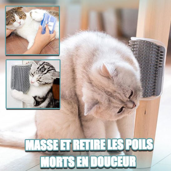 Brosse d’angle pour chat - CornerCat™ - Maitreschats