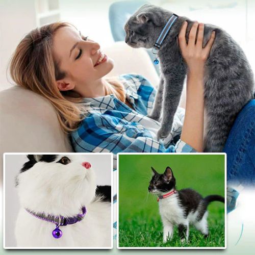 Collier réfléchissant pour chat - FlashCat™