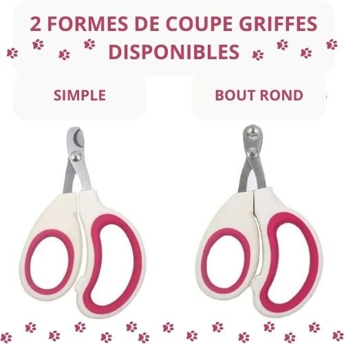 Coupe griffes professionnel pour chat- GriffCat™ - Maitreschats Chats®