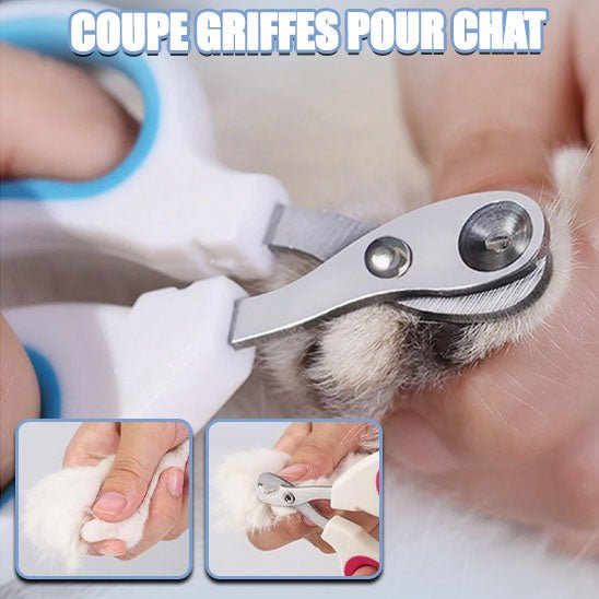 Coupe griffes professionnel pour chat- GriffCat™ - Maitreschats Chats®