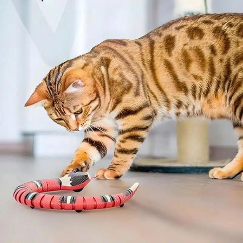 Jouet pour chat - Serpent interactif - SnakeCat™ - Maitreschats