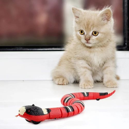 Jouet pour chat - Serpent interactif - SnakeCat™ - Maitreschats