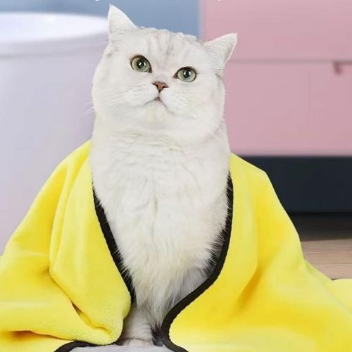 Serviette de bain pour chat - DryCat™ - Maitreschats