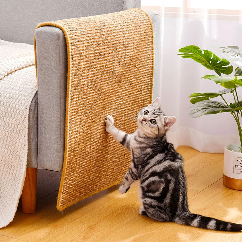 Tapis griffoir chat - ScratchCat™ - Maitreschats