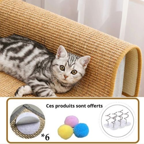 Tapis griffoir chat - ScratchCat™ - Maitreschats