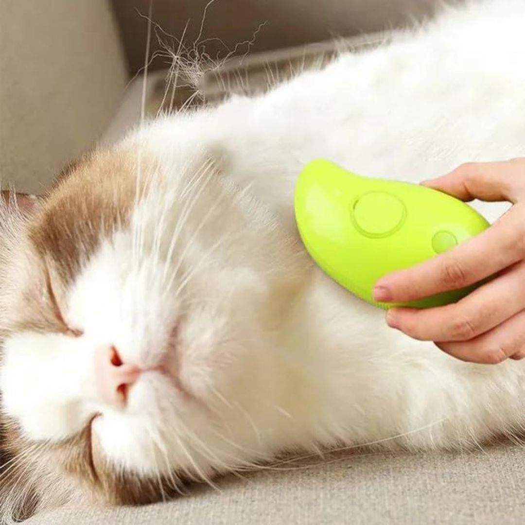 Brosse vapeur chat - CatVape™ - Maitreschats