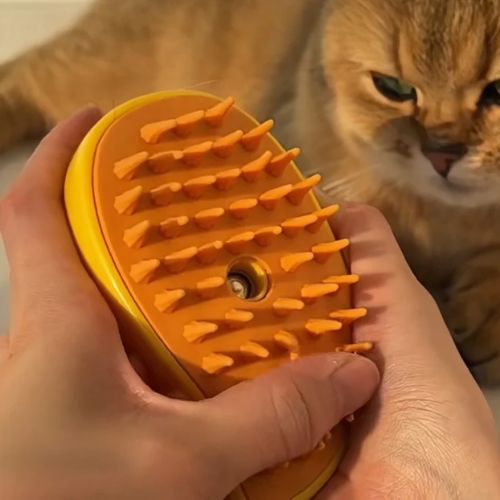 Brosse vapeur chat - CatVape™ - Maitreschats