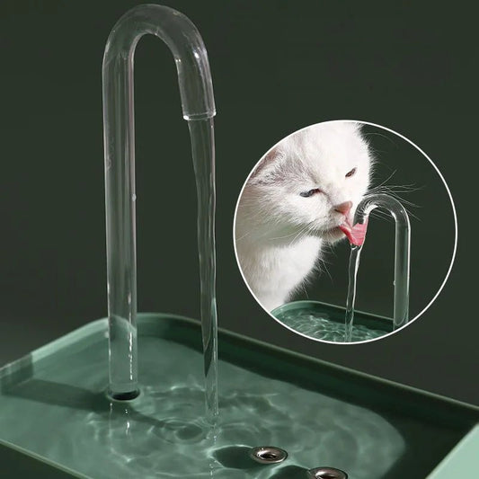 Fontaine à eau chat - FountainCat™ - Maitreschats