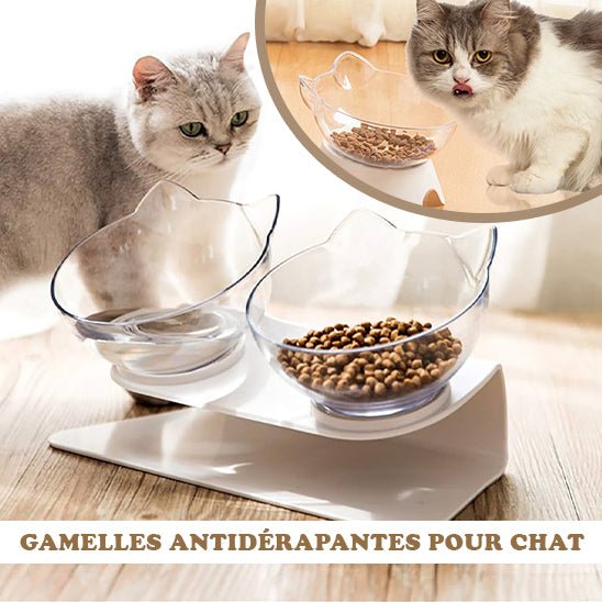 gamelle chat surélevée - EasyFood™ - Maitreschats